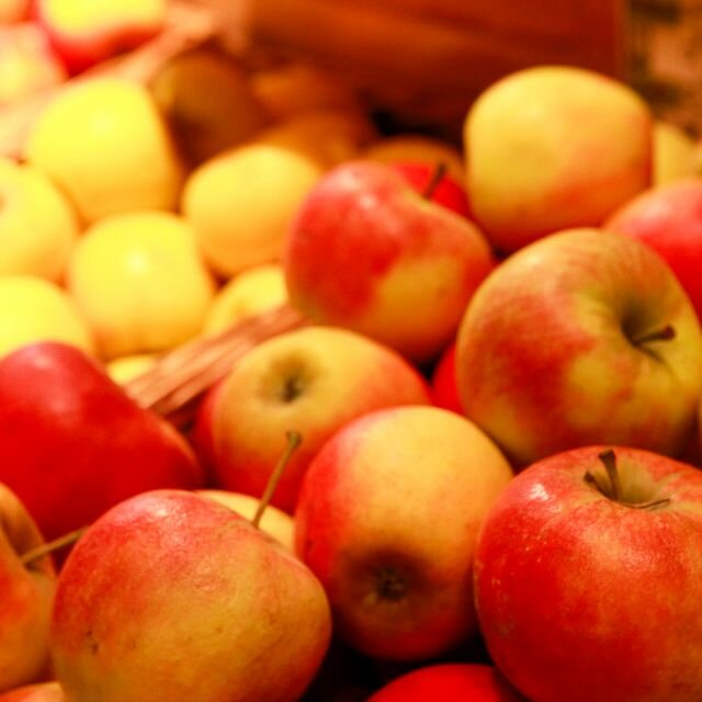 Frische Bio-Äpfel in der Auslage des Bioladens Lüneburg Häcklingen