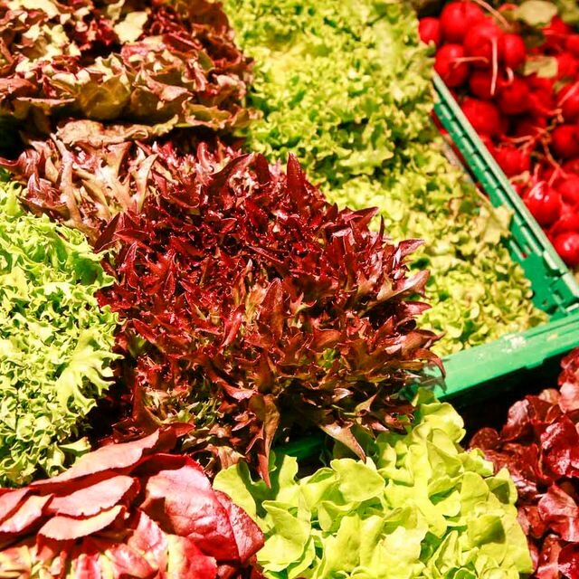 Bio-Salate in Kisten im Bioladen Lüneburg - Naturkostladen Häcklingen